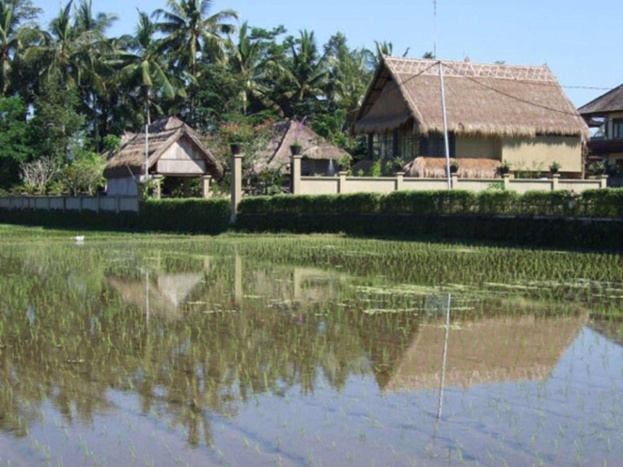 Puri Lotus Hotel Ubud  Exterior photo